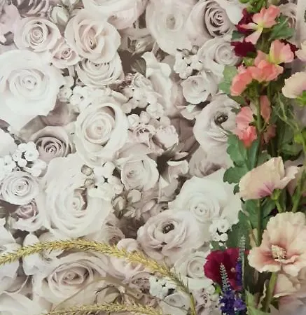 Gasthaus-aparthotel شقة 3*