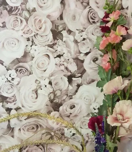 Gasthaus-aparthotel 公寓 3*