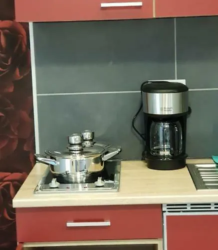 Gasthaus-aparthotel 3* 施韦特